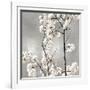Silver Blossoms II-Kate Bennett-Framed Art Print