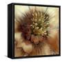 Silver Botanicals III-Liz Jardine-Framed Stretched Canvas