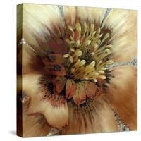 Silver Botanicals III-Liz Jardine-Stretched Canvas