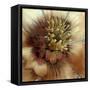 Silver Botanicals III-Liz Jardine-Framed Stretched Canvas