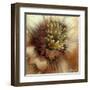 Silver Botanicals III-Liz Jardine-Framed Art Print