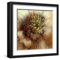 Silver Botanicals III-Liz Jardine-Framed Art Print