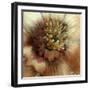 Silver Botanicals III-Liz Jardine-Framed Art Print