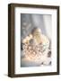 Silver Bowl Still Life-Treechild-Framed Photographic Print