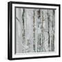 Silver branches-Nel Talen-Framed Photographic Print