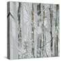 Silver branches-Nel Talen-Stretched Canvas