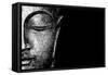 Silver Budda-Whoartnow-Framed Stretched Canvas