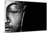 Silver Budda-Whoartnow-Mounted Giclee Print