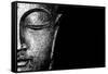 Silver Budda-Whoartnow-Framed Stretched Canvas