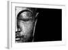 Silver Budda-Whoartnow-Framed Giclee Print