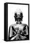 Silver Budda-Whoartnow-Framed Stretched Canvas