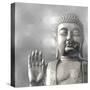 Silver Buddha-Tom Bray-Stretched Canvas