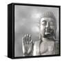 Silver Buddha-Tom Bray-Framed Stretched Canvas