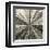 Silver Burst-Mali Nave-Framed Giclee Print
