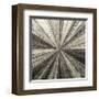 Silver Burst-Mali Nave-Framed Giclee Print