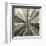 Silver Burst-Mali Nave-Framed Giclee Print