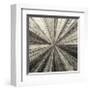 Silver Burst-Mali Nave-Framed Giclee Print