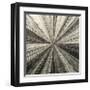 Silver Burst-Mali Nave-Framed Giclee Print