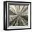 Silver Burst-Mali Nave-Framed Giclee Print