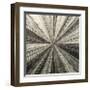 Silver Burst-Mali Nave-Framed Giclee Print