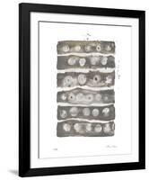 Silver Cake 2-Lynn Basa-Framed Giclee Print