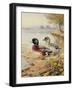 Silver Call Ducks-Carl Donner-Framed Giclee Print