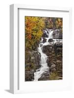 Silver Cascade and fall colors, Crawford Notch State Park, New Hampshire-Adam Jones-Framed Photographic Print