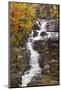 Silver Cascade and fall colors, Crawford Notch State Park, New Hampshire-Adam Jones-Mounted Photographic Print
