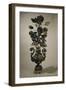 Silver Centerpiece with Flower Shaped Decoration, 1671-Giovan Domenico Vinaccia-Framed Giclee Print