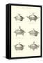 Silver Chafing Dishes-null-Framed Stretched Canvas