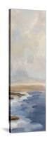 Silver Cloud Panel III-Silvia Vassileva-Stretched Canvas