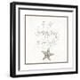 Silver Coast Christmas Square IV-Nicholas Biscardi-Framed Premium Giclee Print