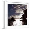 Silver Coast II-Malcolm Sanders-Framed Giclee Print