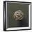 Silver Coin Depicting Gorgon's Head, from Populonia-null-Framed Giclee Print