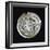 Silver Decadrachm, Recto, Greek Coins, 5th Century BC-null-Framed Giclee Print