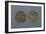 Silver Denarius of Ludwig II and Angilberga, Recto and Verso, with Crosses, Imperial Coins-null-Framed Giclee Print