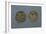 Silver Denarius of Ludwig II and Angilberga, Recto and Verso, with Crosses, Imperial Coins-null-Framed Giclee Print