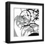 Silver Dollars V-Erin Clark-Framed Art Print