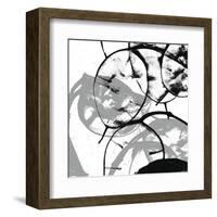 Silver Dollars V-Erin Clark-Framed Art Print