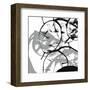 Silver Dollars V-Erin Clark-Framed Art Print