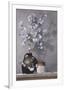 Silver Dollars-Ray Hendershot-Framed Giclee Print