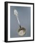 Silver Dusting Spoon with Floral Decorated Handle-null-Framed Giclee Print