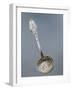 Silver Dusting Spoon with Floral Decorated Handle-null-Framed Giclee Print