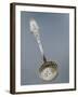 Silver Dusting Spoon with Floral Decorated Handle-null-Framed Giclee Print