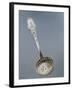 Silver Dusting Spoon with Floral Decorated Handle-null-Framed Giclee Print