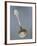 Silver Dusting Spoon with Floral Decorated Handle-null-Framed Giclee Print