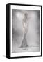 Silver Fairy-null-Framed Stretched Canvas