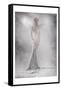 Silver Fairy-null-Framed Stretched Canvas