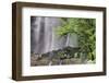 Silver Falls, Golden and Silver Falls State Natural Area, Oregon-Adam Jones-Framed Photographic Print
