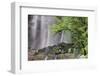 Silver Falls, Golden and Silver Falls State Natural Area, Oregon-Adam Jones-Framed Photographic Print